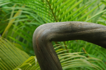 Anjajavy(small)